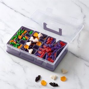 Versatile Purple Storage Box with Compartments